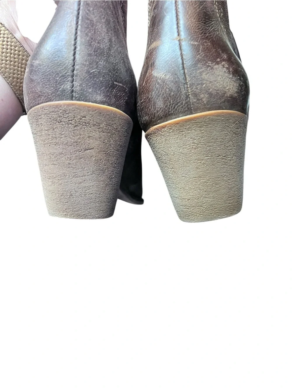 Ariat dixon booties